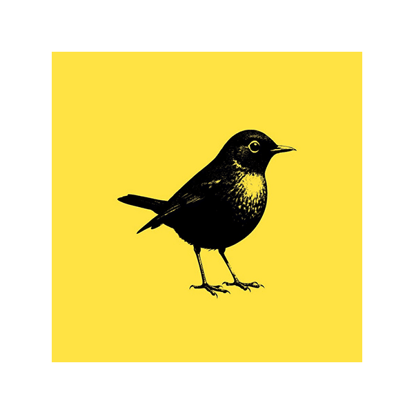 Logo de l'outil Birch sur Freelance Stack