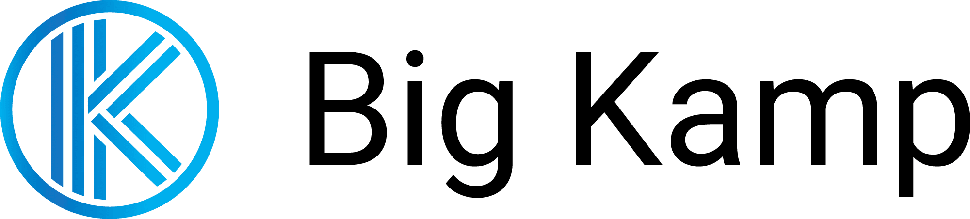 BigKamp Logo